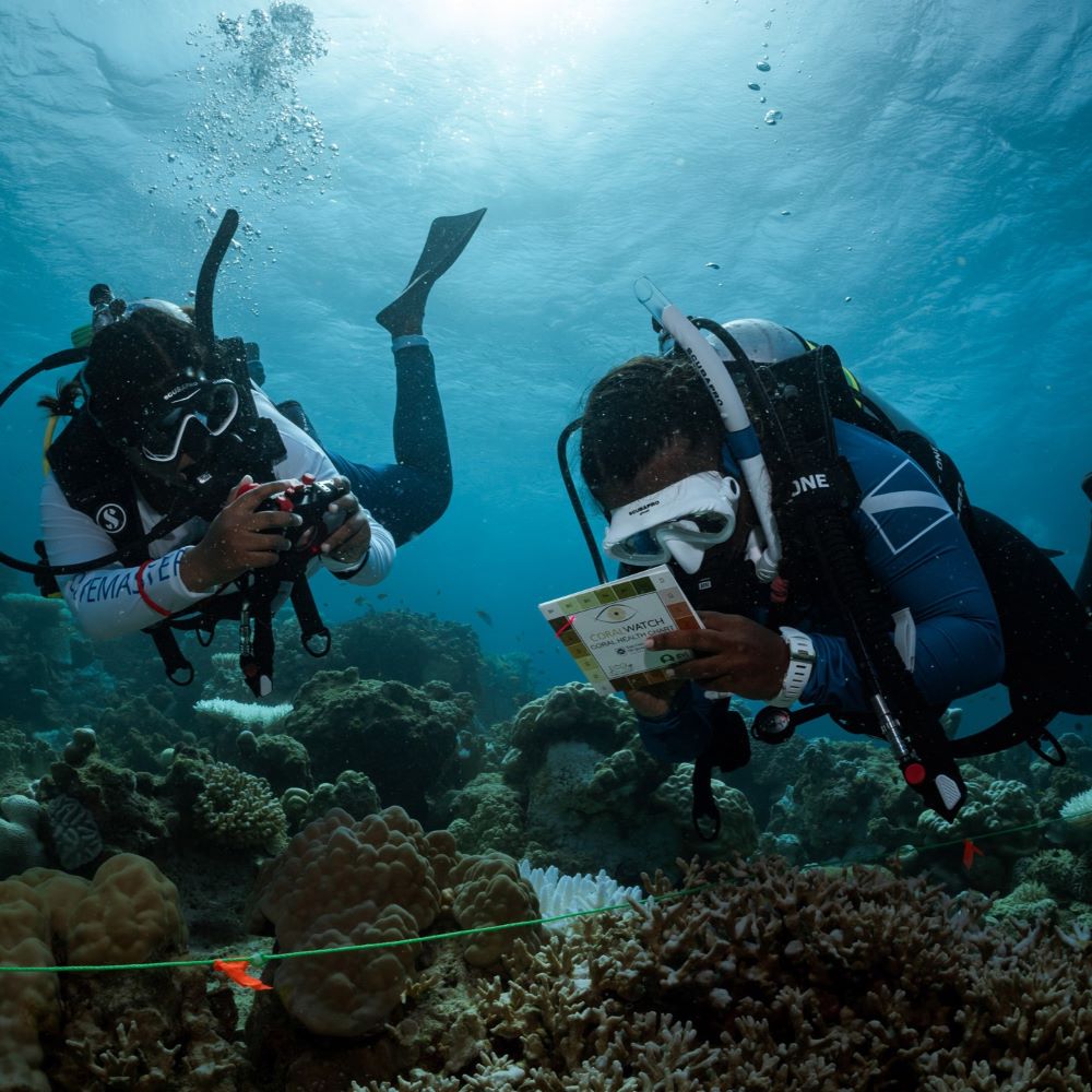 Relaxed scuba briefing before training
