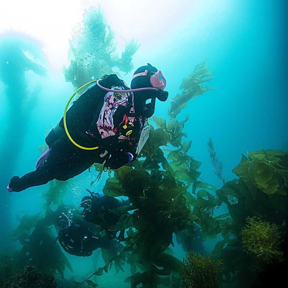 Scuba instructor answering questions for beginners