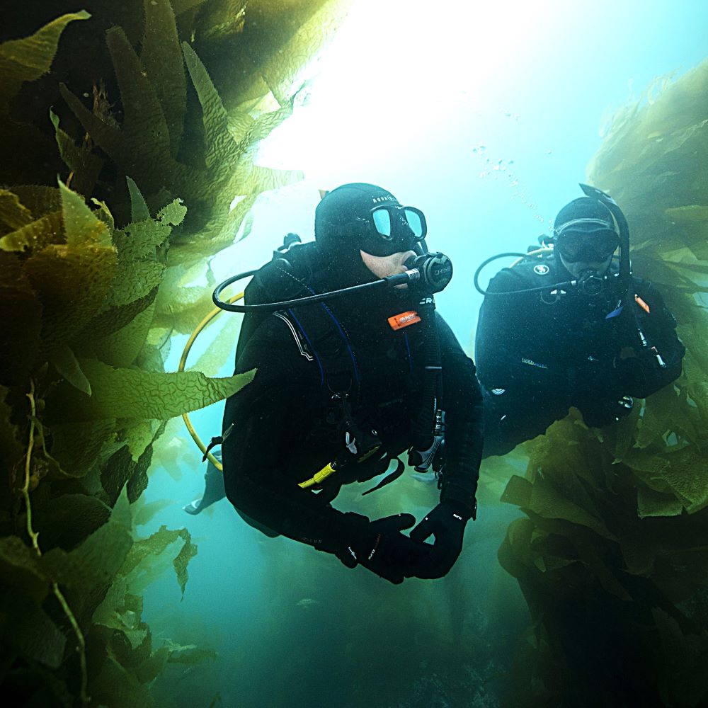Instructor guiding a new diver into the water