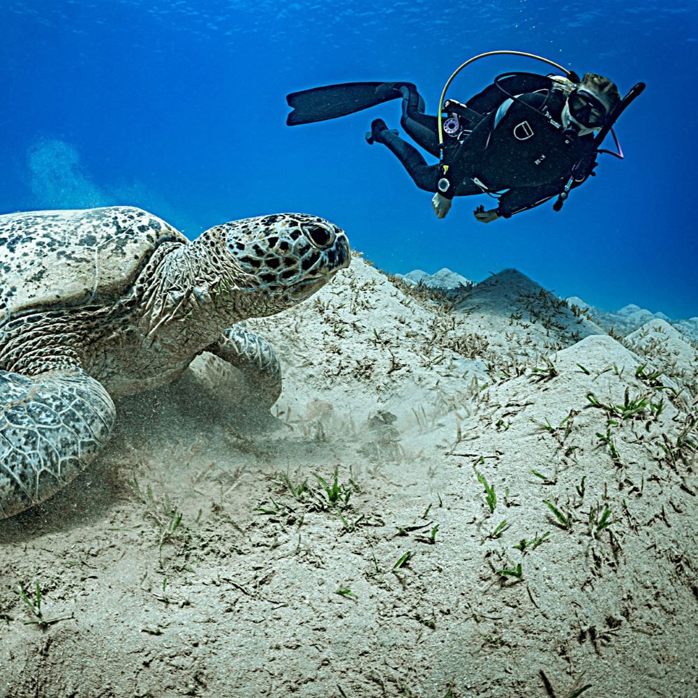Student repeating scuba skill practice underwater