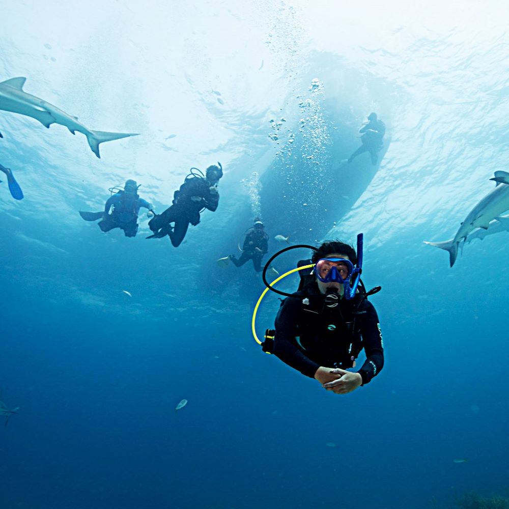 Diver learning neutral buoyancy for the first time